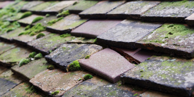 Lledrod roof repair costs